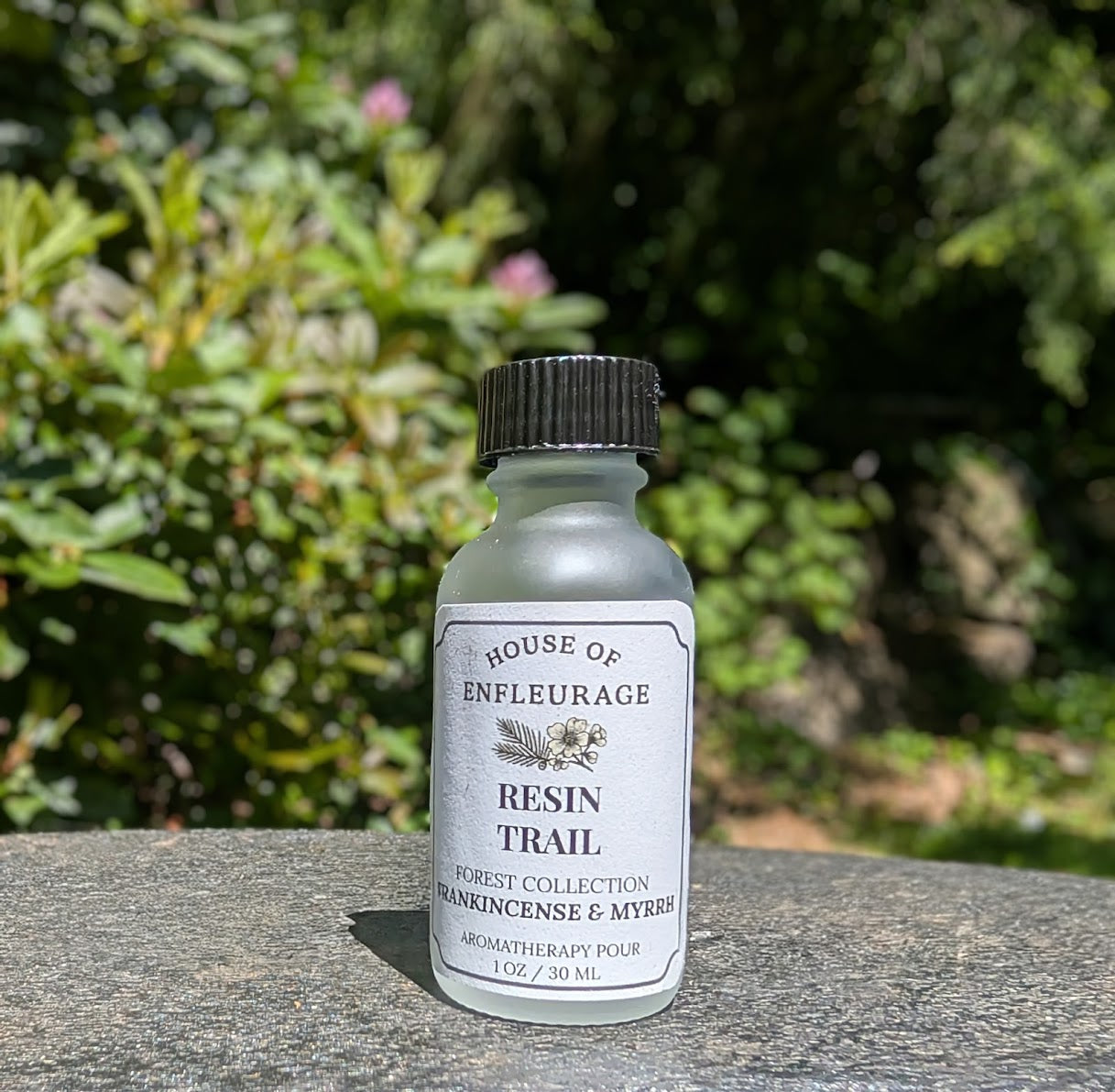 Forest Aromatherapy Pour Set – 5 Wildcrafted Essential Oil Blends (1 oz each)