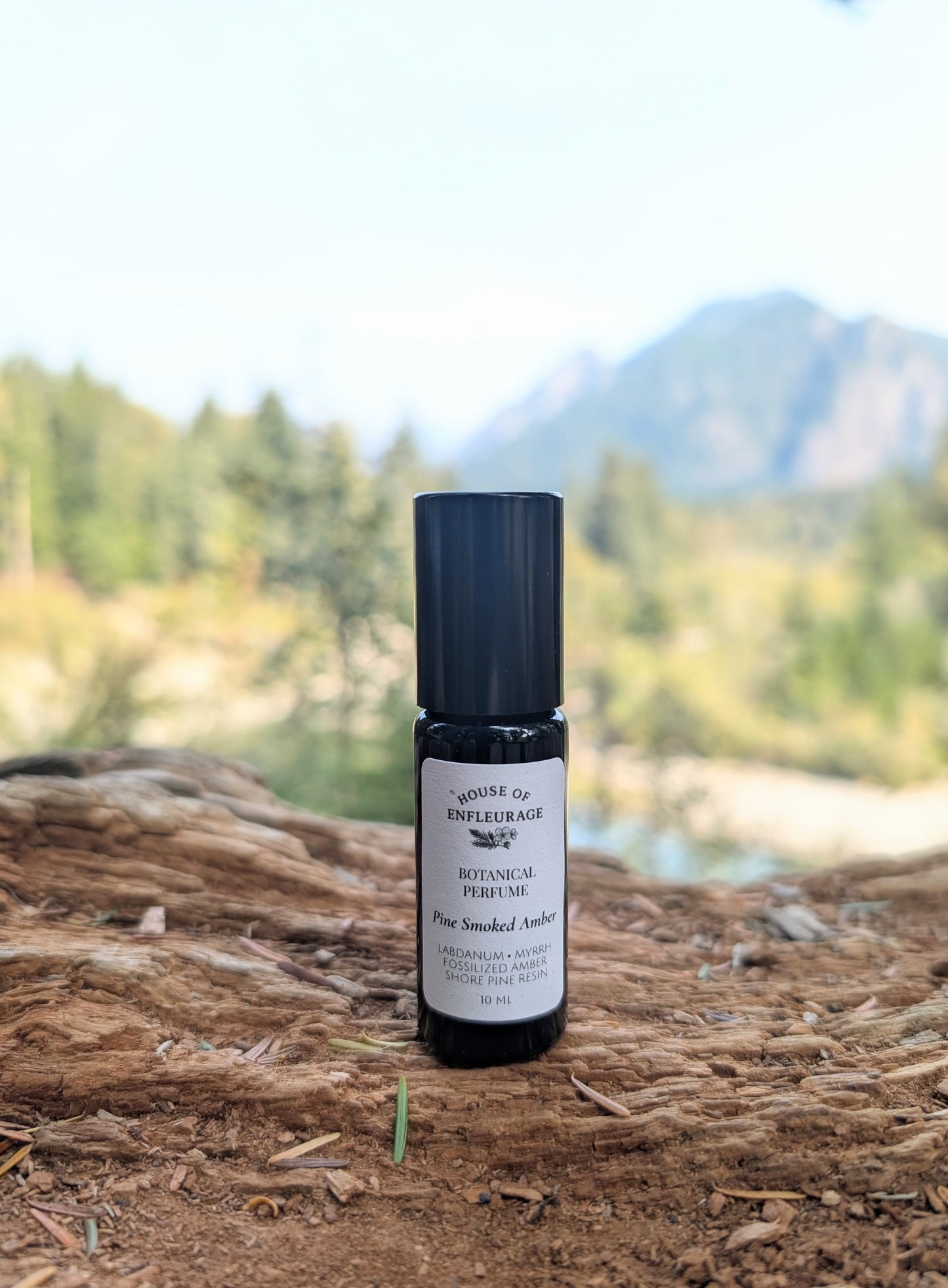 Pine Smoked Amber Natural Cologne Oil