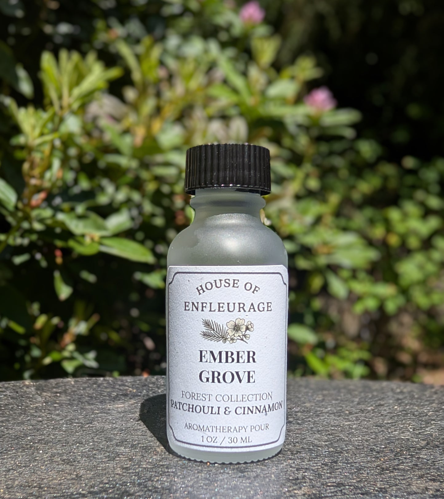 Forest Aromatherapy Pour Set – 5 Wildcrafted Essential Oil Blends (1 oz each)