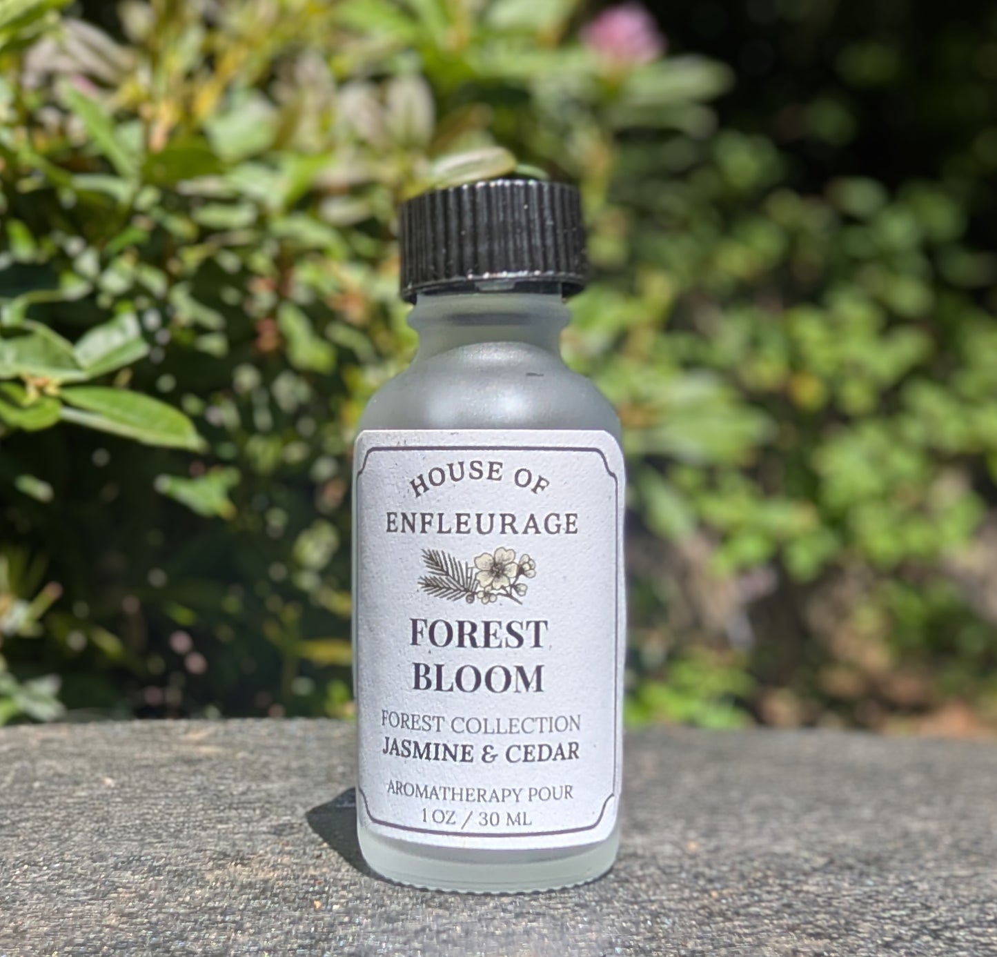 Forest Aromatherapy Pour Set – 5 Wildcrafted Essential Oil Blends (1 oz each)