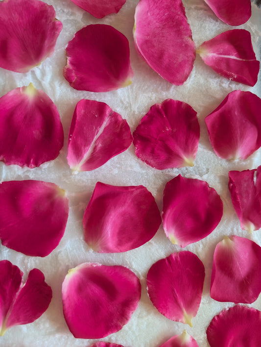 Fresh rose petals resting directly on fat during cold enfleurage at House of Enfleurage